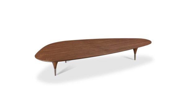 Center Table FUNIL